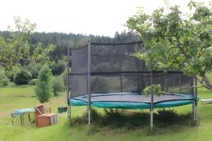 a trampoline in a field next to a tree at Sigmundenhof Haus mit 6 Fewos in Schonach