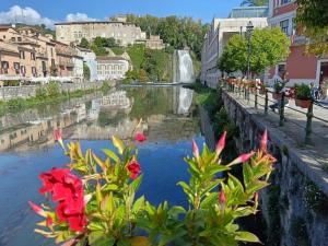 a view of a river with flowers and a waterfall at Cuoredicasamia in Isola del Liri +4 photos