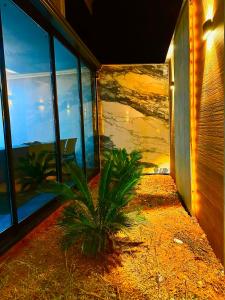 a house with a plant in a room with windows at Belek Holiday Villas-1 in Belek