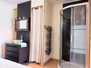 ムランにあるCharmant appartement au cœur de Melunのシャワー、洗面台、トイレ付きのバスルーム