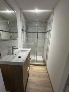 a bathroom with a sink and a shower at Appartement 1 chambre in Tulle