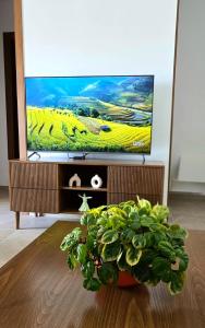 Μια τηλεόραση ή/και κέντρο ψυχαγωγίας στο Appartement S1 Luxueux