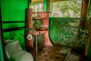 a bathroom with a toilet and a green wall at Hotel del Bosque in Río Cuarto +79 photos