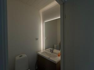 a bathroom with a sink and a mirror and a toilet at VillaSafe in Jyväskylä +12 photos