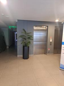 eine Topfpflanze in einem Flur mit einem Aufzug in der Unterkunft Departamento Nuevo Full Parque Ohiggins in Santiago