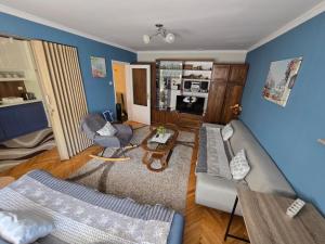 an overhead view of a living room with blue walls at Kingston in Pirot