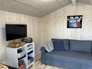 a living room with a couch and a flat screen tv at Holiday Home Seba - 1km to the fjord by Interhome in Hemmet