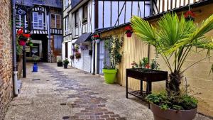an alley with potted plants on the side of a building at Le Cocon Suspendu in Pont-Audemer