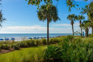 Una vista de una playa con palmeras y sombrillas. en 304 Main Sail, en Hilton Head Island