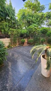a patio with a palm tree in a garden at Nivasa Villa - 5 BHK Triplex House Near Cyberhub in Gurgaon +8 photos