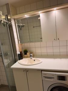 ein Badezimmer mit Waschbecken und Waschmaschine in der Unterkunft My Little Boat House in Oslo + 3 Fotos
