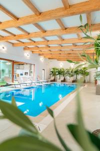 a swimming pool in a building with a wooden ceiling at Maramures Retreat & SPA in Poienile Izei