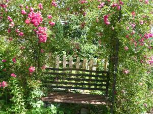 Billede fra billedgalleriet på Gästehaus Rosengarten im Nahetal i Kirn