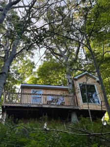 Balkón nebo terasa v ubytování Ananda - Enchanted Forest Hideaway + 22 fotografií