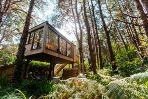 a tree house in the middle of a forest at Burrenmore Nest - Luxury Forest Lodges with Hot Tubs & Sauna in Castlerock +37 photos