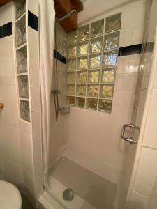 a bathroom with a shower and a toilet at Casa Narcís in Claverol +19 photos