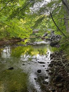 Gallery image of Ananda - Enchanted Forest Hideaway in Pleasant Bay