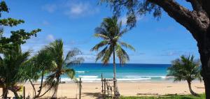 a beach with palm trees and the ocean at Suites & Gym by Karon Homes in Karon Beach