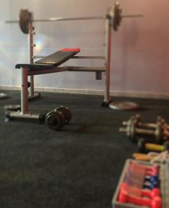 Fitness centrum a/nebo fitness zařízení v ubytování Axis Hotel