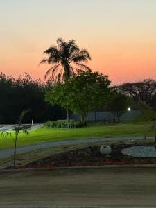 a palm tree in a park at sunset at Thandekile Garden Venue in Midrand