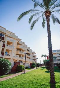 una palmera delante de un edificio en Blue Sky Denia apartment, en Denia