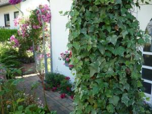 Billede fra billedgalleriet på Gästehaus Rosengarten im Nahetal i Kirn