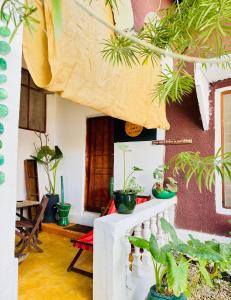 Χώρος καθιστικού στο Rafiki budget master room in paje