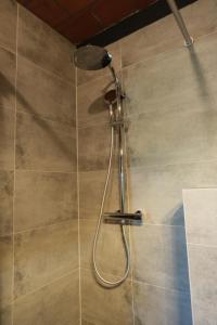 a shower with a shower head in a bathroom at Boerderij de Windroos in Tollebeek
