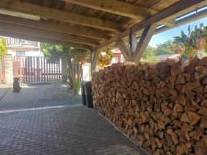 a pile of fire wood next to a fence at Apartmán Jako u Babičky in Tisá