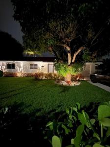 a house with a tree in the yard at night at Serenety Shores in West Palm Beach