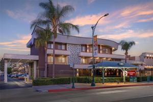 un hotel con una palmera delante en Best Western Plus Park Place Inn - Mini Suites, en Anaheim