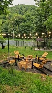 a group of benches and a fire pit in a park at Foothills A-frame in Vǝndam