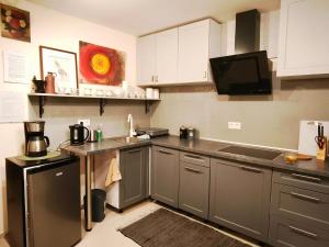 a kitchen with stainless steel appliances and a tv at Przystanek Spokój - Nowe Siodło Sudety Środkowe in Nowe Siodło +27 photos