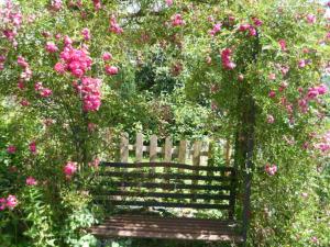 Billede fra billedgalleriet på Gästehaus Rosengarten im Nahetal i Kirn