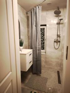 a bathroom with a shower and a sink at Przystanek Spokój - Nowe Siodło Sudety Środkowe in Nowe Siodło