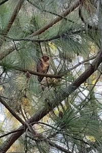 Fotografie z fotogalerie ubytování Farm Stay in Quetzaltenango v destinaci Salcajá