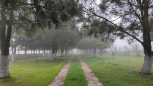 Fotografie z fotogalerie ubytování Farm Stay in Quetzaltenango v destinaci Salcajá + 14 fotografií