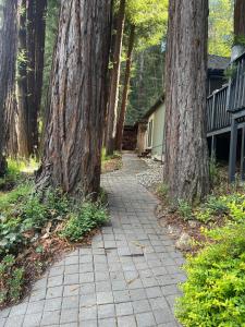 Κήπος έξω από το Redwood View Suite 326SQFT Private Entrance and Bath