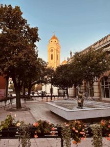 a building with a clock tower and a fountain in front at Apartman KEJ Smederevo in Smederevo +9 photos