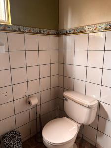 a bathroom with a white toilet in a room at Alma Delfina in San Isidro de El General