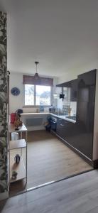 a kitchen with a refrigerator and a counter top at Appartement cosy en plein centre ville in Saint-Pierre-du-Regard