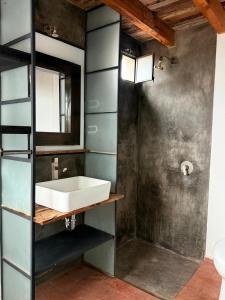 a bathroom with a sink and a shower at Casa Hoja Azul in San Miguel de Allende