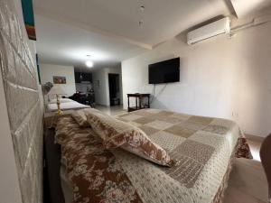 a bedroom with a bed and a flat screen tv at Monoambiente centrico Plaza Belgrano in San Salvador de Jujuy