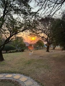 比勒陀利亚Around the corner的一片绿树成荫的公园中的日落