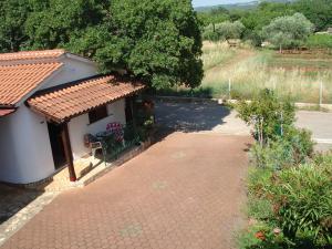 Zahrada ubytování Villa Ojdana