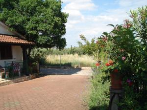 Zahrada ubytování Villa Ojdana