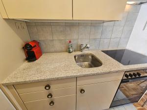 a kitchen counter with a sink and a red appliance at Premium Apartment mit Pilatus Sicht in Luzern