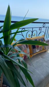 Photo de la galerie de l'établissement My White Seagull, à Trabzon