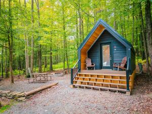 GainesA-frame 1的树林中的小屋,配有长凳和桌子