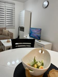 TV a/nebo společenská místnost v ubytování Apartman KG ELITE